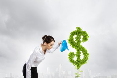 Income concept