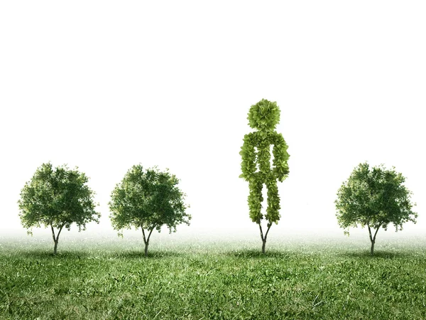 Imagen conceptual de planta verde en forma de signo — Foto de Stock