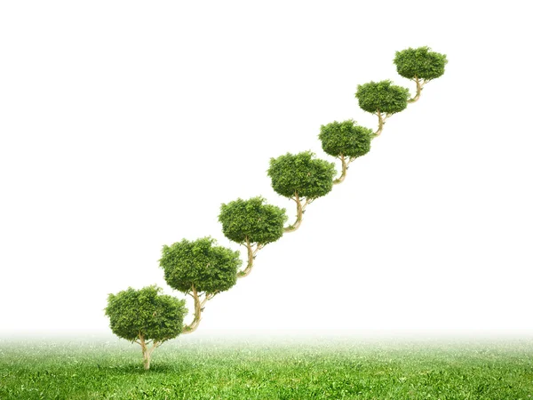 Концептуальное изображение зеленого растения в форме лестницы — стоковое фото