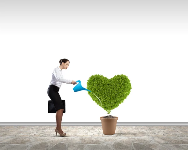 Concepto de vegetación — Foto de Stock