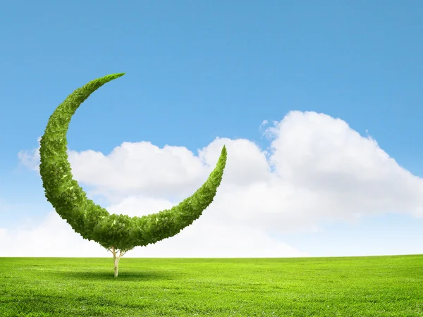 Conceptual image of green plant shaped like sign — Stock Photo, Image