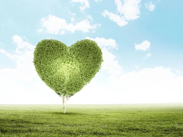 Πράσινο γρασίδι καρδιά σύμβολο — Φωτογραφία Αρχείου
