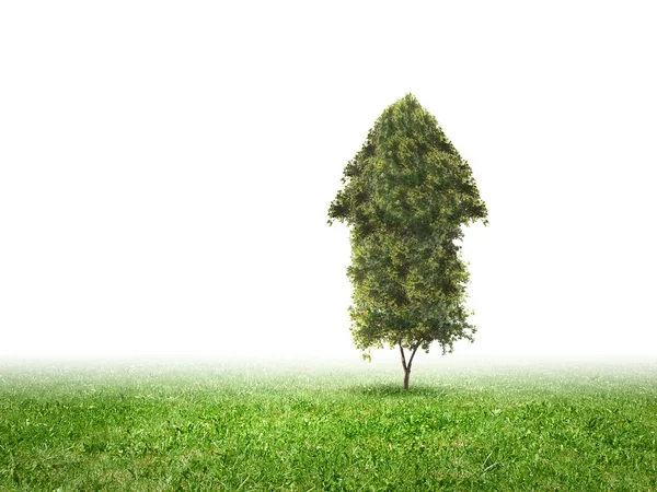 Imagem conceitual de planta verde em forma de gráfico gostado — Fotografia de Stock