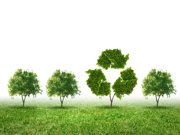 Conceptual image of green plant shaped like sign — Stock Photo, Image