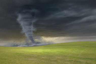 Tornado çayırda