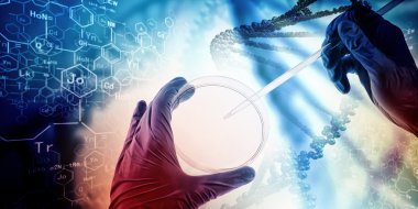 DNA molekülü