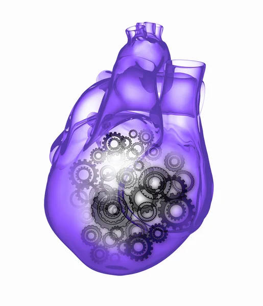 Human heart — Stock Photo, Image