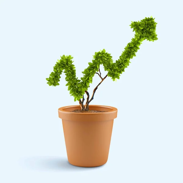 Growth concept — Stock Photo, Image