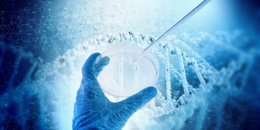 DNA molekülü