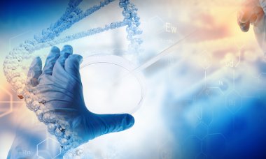 DNA molekülü