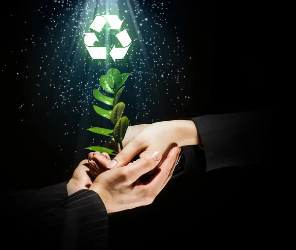 Concepto ecológico — Foto de Stock