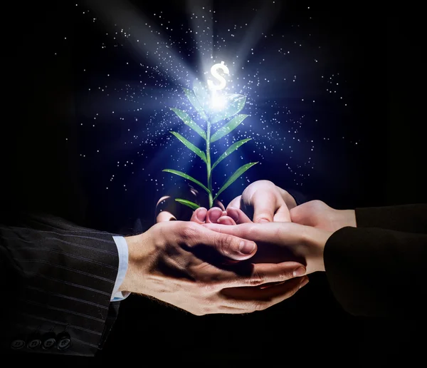 Making money — Stock Image Making money Royalty Free Stock Images