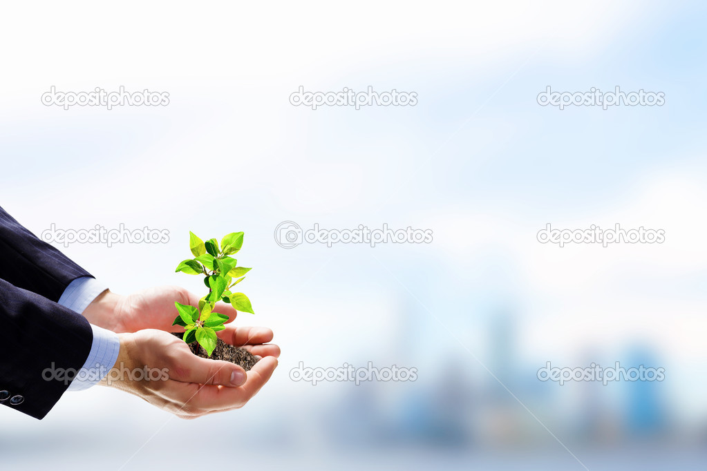 Sprout in hands