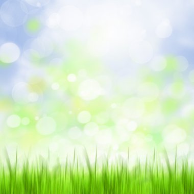 bokeh görüntü