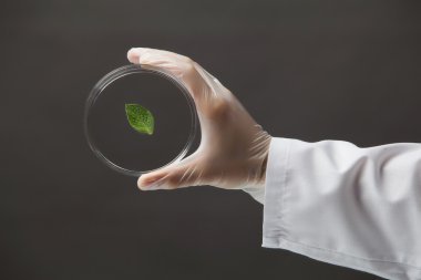 Laboratuvar testi