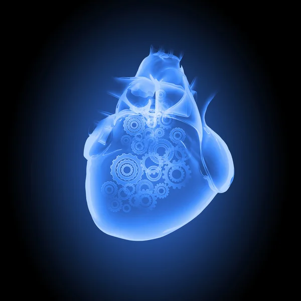 Human heart — Stock Photo, Image