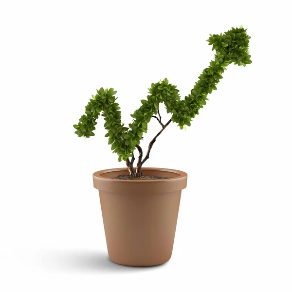 Growth concept — Stock Photo, Image