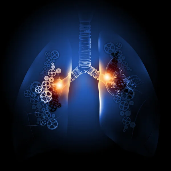 Human lungs — Stock Photo, Image