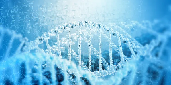 DNS-molekulában — Stock Fotó