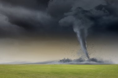 Tornado çayırda