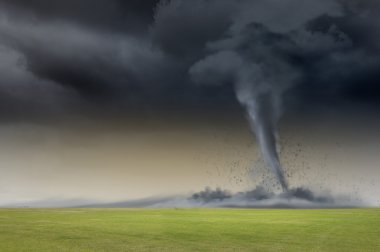 Tornado in meadow clipart