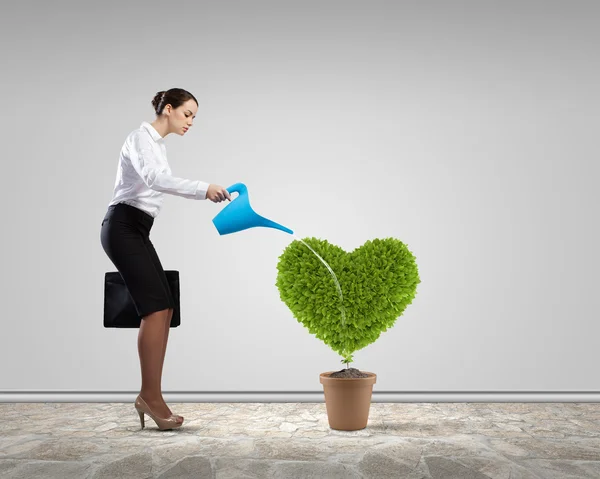 Concepto de vegetación — Foto de Stock