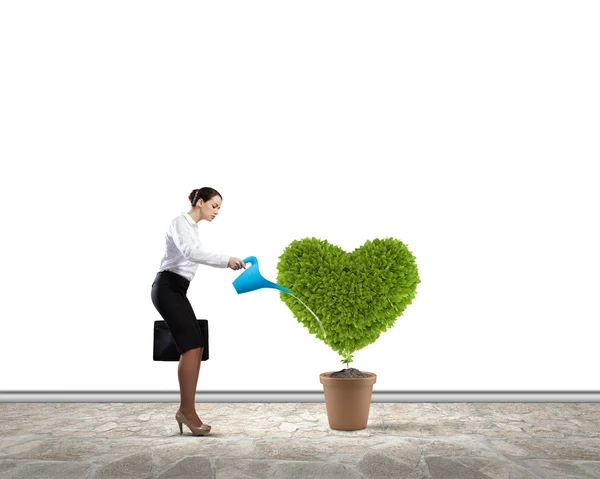 Concepto de vegetación — Foto de Stock