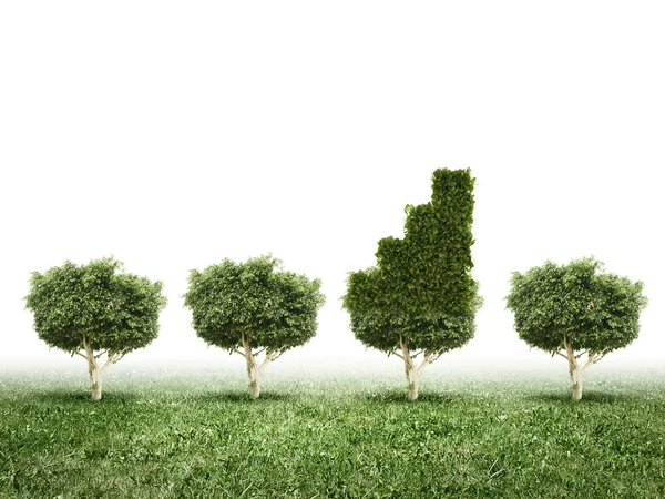 Imagem conceitual de planta verde em forma de gráfico gostado — Fotografia de Stock