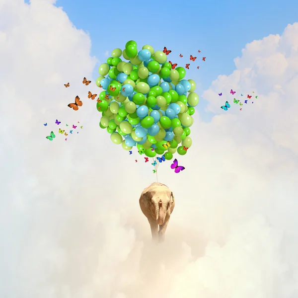 Flying elephant Stock Photo by ©SergeyNivens 50352775