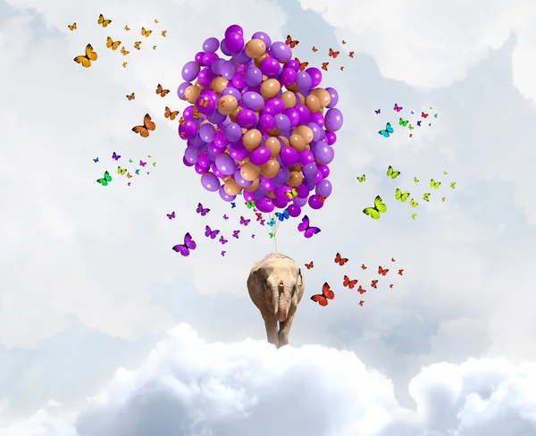 Flying elephant — Stock Photo, Image