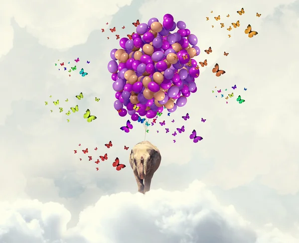 Létající slon — Stock fotografie