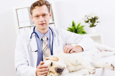 köpek veteriner Kliniği