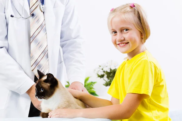 Kočka na veterinární klinice — Stock fotografie