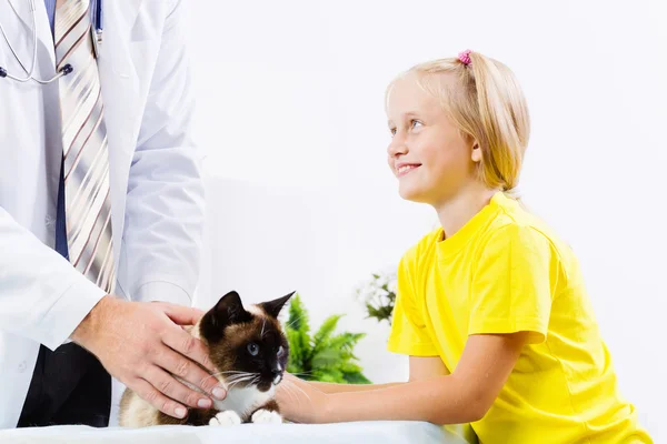 Kočka na veterinární klinice — Stock fotografie