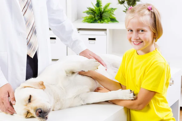 Cão na clínica veterinária — Fotografia de Stock