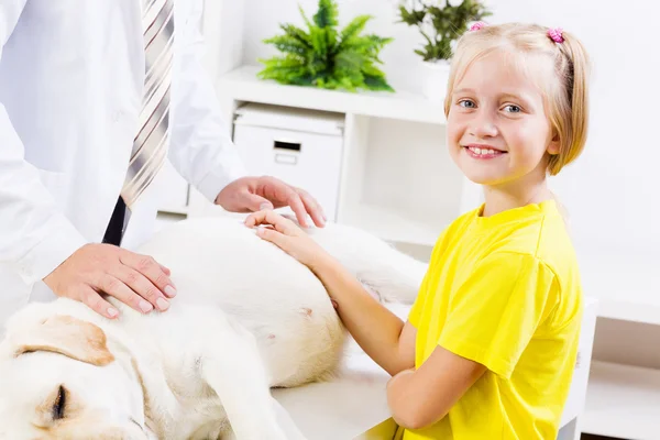 Cão na clínica veterinária — Fotografia de Stock