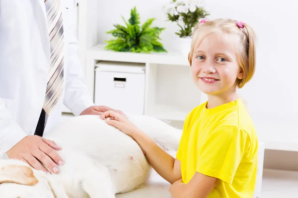 Cão na clínica veterinária — Fotografia de Stock