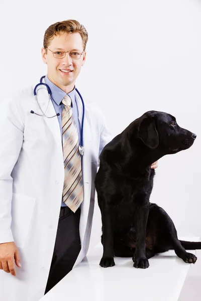 Dog at vet clinic — Stock Photo, Image