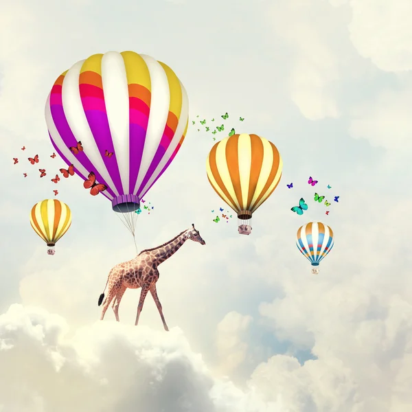 Fliegende Giraffe — Stockfoto