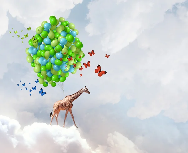 Flying giraffe — Stock Photo, Image