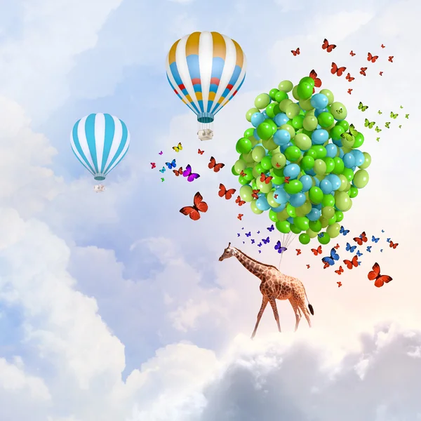 Flying giraffe — Stock Photo, Image