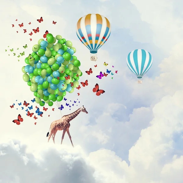 Flying giraffe — Stock Photo, Image