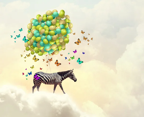 Flying zebra — Stock Photo, Image