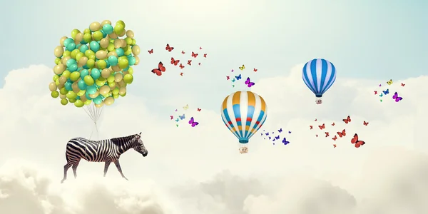 Flying zebra — Stock Photo, Image