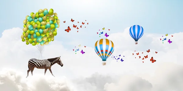 Flying zebra — Stock Photo, Image