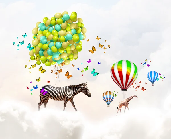 Flying zebra — Stock Photo, Image