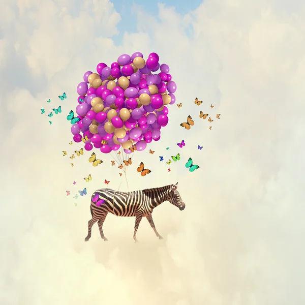 Flying zebra — Stock Photo, Image