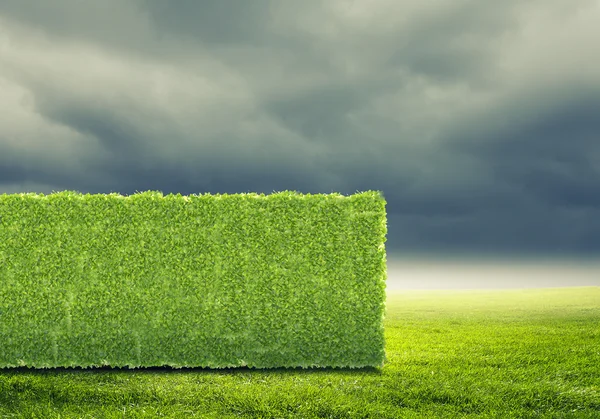 Concepto de vegetación — Foto de Stock