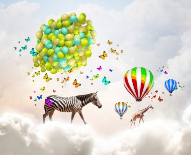 Zebra uçan
