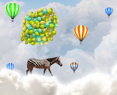 Zebra uçan